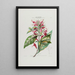 Flore d'Amérique dessinée d'après nature sur les lieux Pl034 - Étienne Denisse — gerahmtes Bild an der Wand