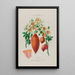 Flore d'Amérique dessinée d'après nature sur les lieux Pl076 - Étienne Denisse — gerahmtes Bild an der Wand
