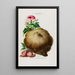Flore d'Amérique dessinée d'après nature sur les lieux Pl085 - Étienne Denisse — gerahmtes Bild an der Wand