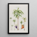 Flore d'Amérique zeichnung nach der Natur vor Ort Pl089 - Étienne Denisse — gerahmtes Bild an der Wand