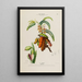 Flore d'Amérique dessinée d'après nature sur les lieux Pl145 - Étienne Denisse — gerahmtes Bild an der Wand