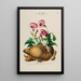 Flore d'Amérique dessinée d'après nature sur les lieux Pl163 - Étienne Denisse — gerahmtes Bild an der Wand