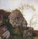 Studie von Hundsrosen und Farne - Adolph Tidemand — Ansicht des Kunstwerks