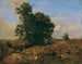 Baumgruppe am Wegesrand - Eugen Jettel — Ansicht des Kunstwerks