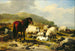 Landschaft mit Schafen - Eugène Joseph Verboeckhoven — Ansicht des Kunstwerks