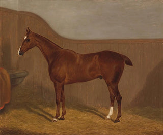 F Clifton - Pferdeportrait.webp