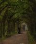 Promenade des feuilles - Fanny Edle von Geiger-Weishaupt — Ansicht des Kunstwerks