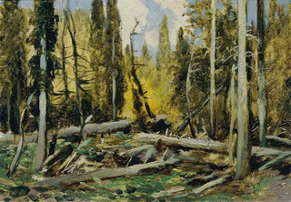 Ferdinand Engelmller - Bhmerwald.webp
