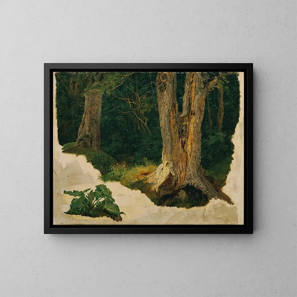 Baumstudie - Ferdinand Georg Waldmüller — gerahmtes Bild an der Wand