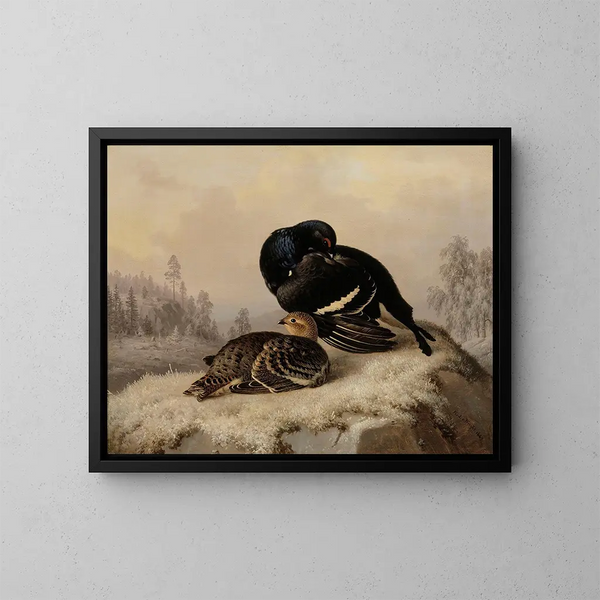 Tétras lyre männlich und weiblich - Ferdinand von Wright — gerahmtes Bild an der Wand