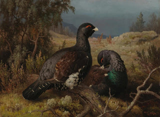 Ferdinand von Wright - Capercaillie Cocks.webp