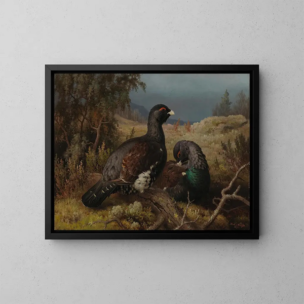 Hähne des Auerhuhns - Ferdinand von Wright — gerahmtes Bild an der Wand