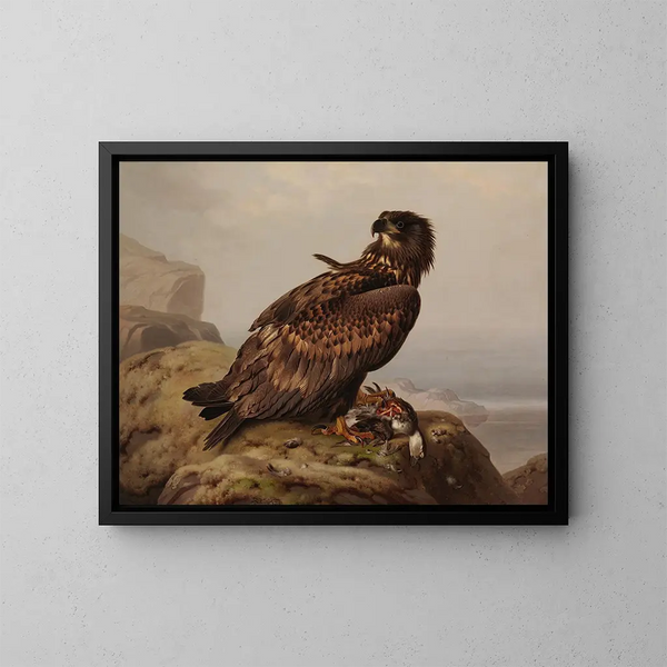Weißkopfseeadler mit Beute - Ferdinand von Wright — gerahmtes Bild an der Wand