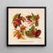Blätter des Herbstes Nummer 2 - Louis Prang Co — gerahmtes Bild an der Wand