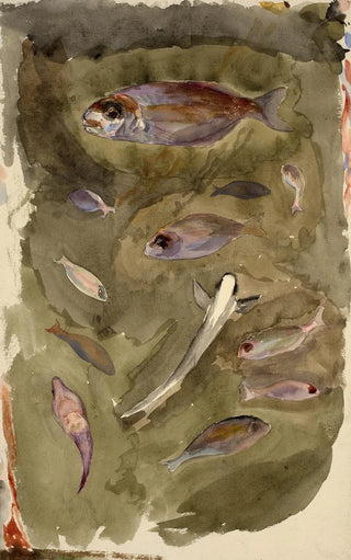 Flix Bracquemond - Fishes.webp