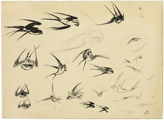 Die Schwalben - Félix Bracquemond — Ansicht des Kunstwerks