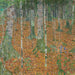 Birkenwald - Gustav Klimt — Ansicht des Kunstwerks
