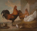 Hühner und Hähne domestisch - Francis Barlow — Ansicht des Kunstwerks