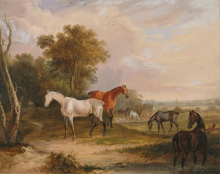 Francis Calcraft Turner - Horses Grazing a Grey Stallion Grazing with Mares in a Meadow.webp
