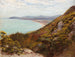 Baie de Killiney vue vers Bray - Francis S Walker — Ansicht des Kunstwerks