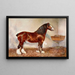 Hengst Clydesdale Prince d'Albion - Frank Babbage — gerahmtes Bild an der Wand