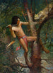 Ahuitzotl et l'Ocelot - Frank Earle Schoonover — Ansicht des Kunstwerks