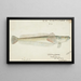 Crapatulus novaezealandiae NZ Sand stargazer - Frank Edward Clarke — gerahmtes Bild an der Wand