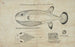 Tetraodon cheesmanii, poisson-globe - Frank Edward Clarke — Ansicht des Kunstwerks