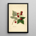 Rubus Rancocas - Frank Muller — gerahmtes Bild an der Wand