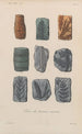Traité de botanique générale Pl004 - François Hérincq — Ansicht des Kunstwerks