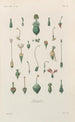 Traité de botanique générale Pl069 - François Hérincq — Ansicht des Kunstwerks