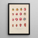 Traité de botanique générale Pl071 - François Hérincq — gerahmtes Bild an der Wand