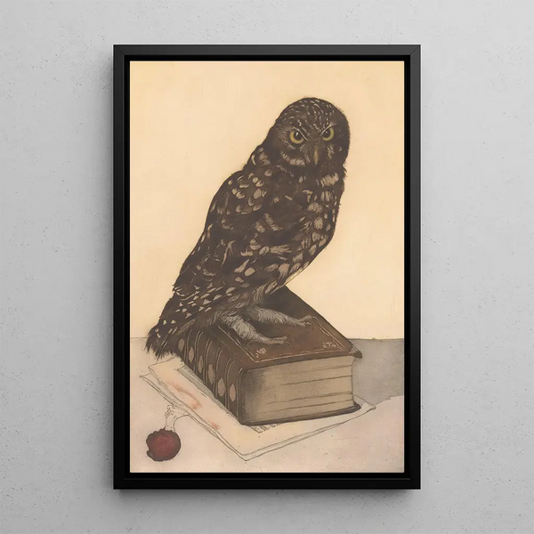 Frans Everbag - Uil zittend op een boek.webp