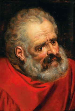 Frans Floris - A Bearded Old Man In A Red Cloak.webp