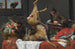 Stillleben mit einem toten Hirsch - Frans Snyders — Ansicht des Kunstwerks