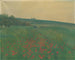 Mohnblumen rot - František Kaván — Ansicht des Kunstwerks