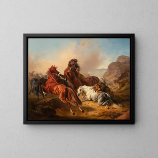 Pferde angegriffen von Löwen - Franz Adam — gerahmtes Bild an der Wand