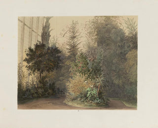 Franz Antoine - Der Wintergarten in der kaiserlichen kniglichen Hofburg zu Wien Pl10.webp
