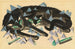 Zwei schwarze Katzen liegend - Franz Marc — Ansicht des Kunstwerks