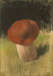 Der Pilz - Franz von Stuck — Ansicht des Kunstwerks