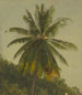 Palmen Antillen - Frederic Edwin Church — Ansicht des Kunstwerks