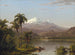 Palmiers Tamaca - Frederic Edwin Church — Ansicht des Kunstwerks
