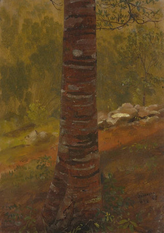 Frederic Edwin Church - Tree trunk.webp