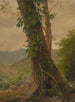 Baum mit Weinreben Jamaika Antillen - Frederic Edwin Church — Ansicht des Kunstwerks
