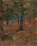 Szenen im Wald - Frederic Edwin Church — Ansicht des Kunstwerks