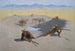 Kampf um die Wasserstelle - Frederic Remington — Ansicht des Kunstwerks