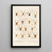 Arachnida Araneidea Pl 16 - Frederick DuCane Godman — gerahmtes Bild an der Wand