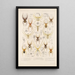Arachnida Araneidea Pl 32 - Frederick DuCane Godman — gerahmtes Bild an der Wand