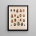 Insekten Käfer Pl 020 - Frederick Du Cane Godman — gerahmtes Bild an der Wand