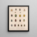 Insekten Käfer Pl 021 - Frederick Du Cane Godman — gerahmtes Bild an der Wand